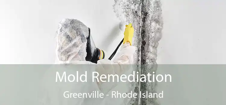 Mold Remediation Greenville - Rhode Island