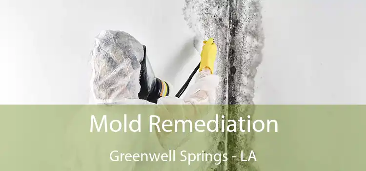 Mold Remediation Greenwell Springs - LA