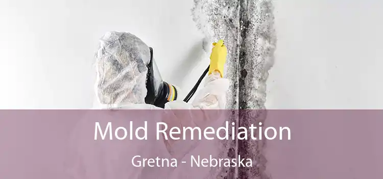 Mold Remediation Gretna - Nebraska