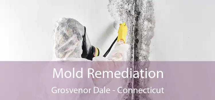 Mold Remediation Grosvenor Dale - Connecticut