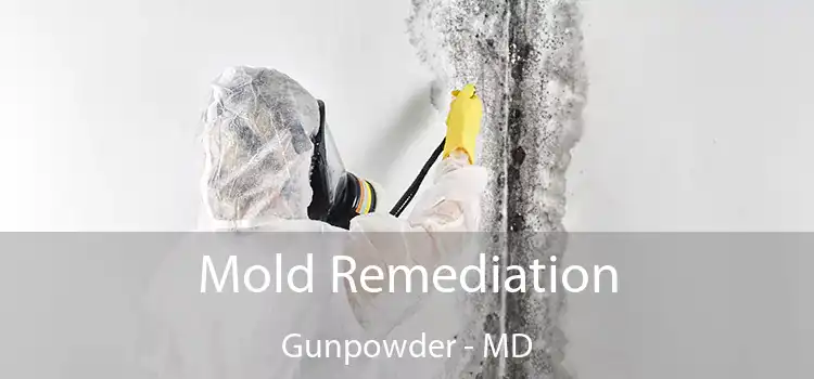 Mold Remediation Gunpowder - MD