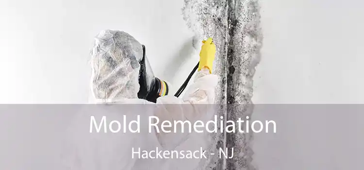 Mold Remediation Hackensack - NJ