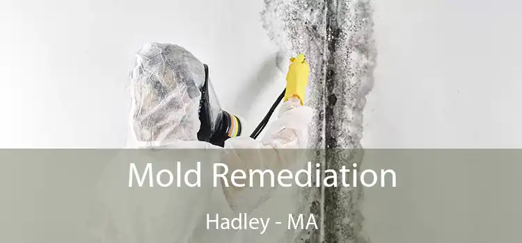 Mold Remediation Hadley - MA