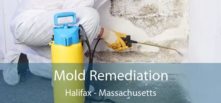 Mold Remediation Halifax - Massachusetts