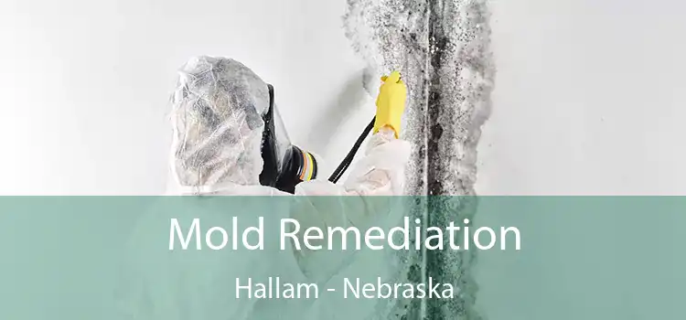 Mold Remediation Hallam - Nebraska