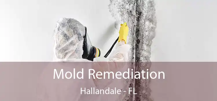 Mold Remediation Hallandale - FL