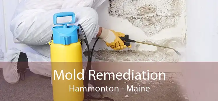 Mold Remediation Hammonton - Maine