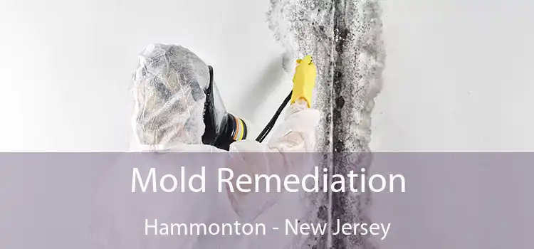 Mold Remediation Hammonton - New Jersey