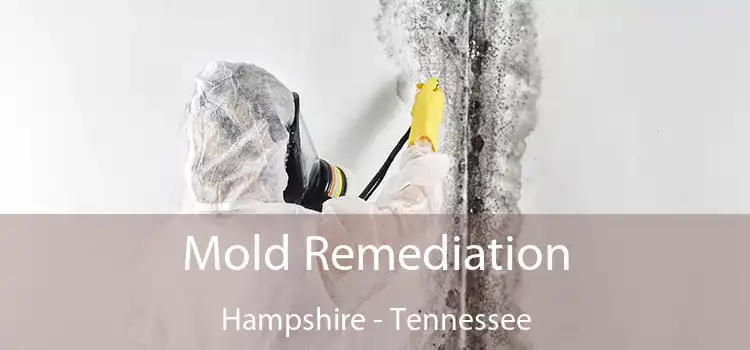 Mold Remediation Hampshire - Tennessee