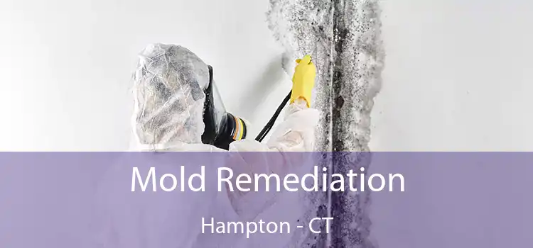 Mold Remediation Hampton - CT