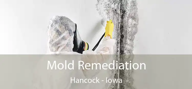 Mold Remediation Hancock - Iowa