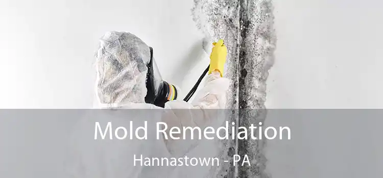 Mold Remediation Hannastown - PA