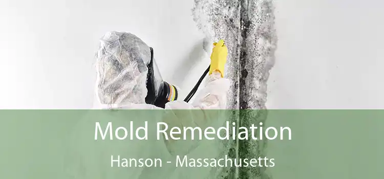 Mold Remediation Hanson - Massachusetts