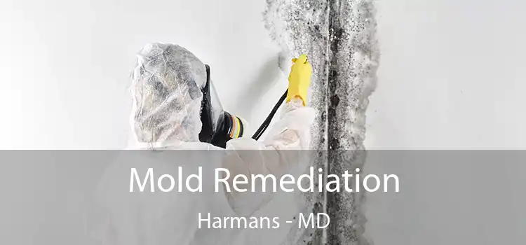 Mold Remediation Harmans - MD