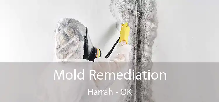 Mold Remediation Harrah - OK