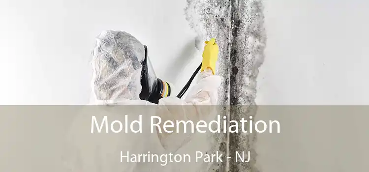 Mold Remediation Harrington Park - NJ