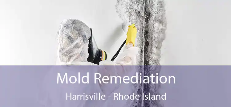 Mold Remediation Harrisville - Rhode Island