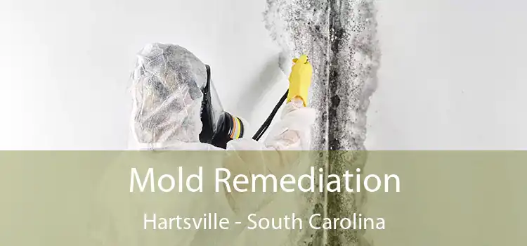 Mold Remediation Hartsville - South Carolina