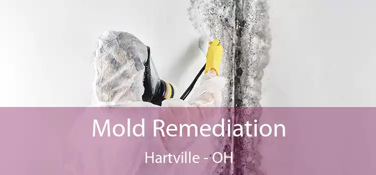 Mold Remediation Hartville - OH