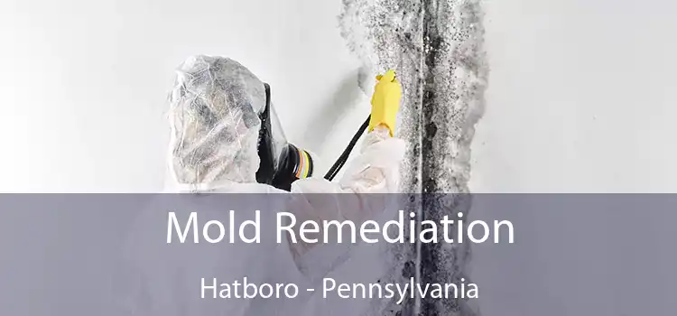 Mold Remediation Hatboro - Pennsylvania