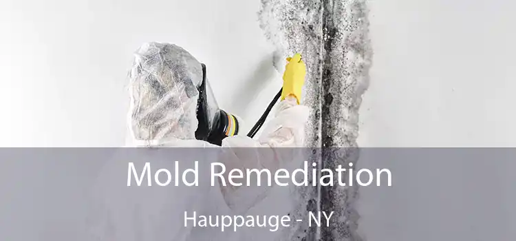 Mold Remediation Hauppauge - NY