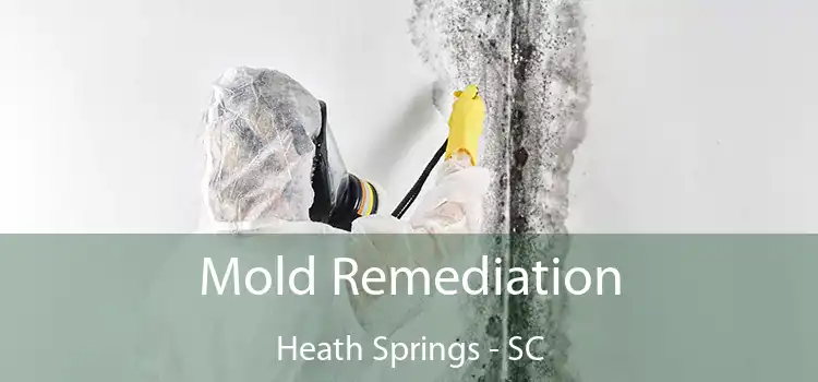 Mold Remediation Heath Springs - SC