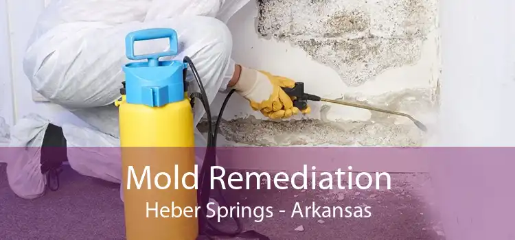 Mold Remediation Heber Springs - Arkansas