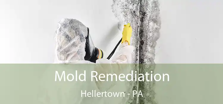 Mold Remediation Hellertown - PA