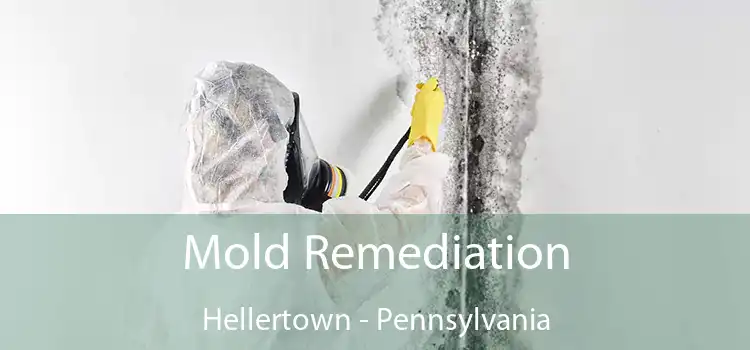 Mold Remediation Hellertown - Pennsylvania