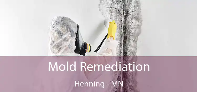 Mold Remediation Henning - MN