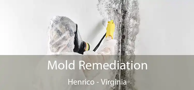 Mold Remediation Henrico - Virginia