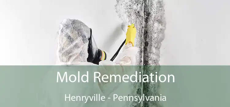 Mold Remediation Henryville - Pennsylvania