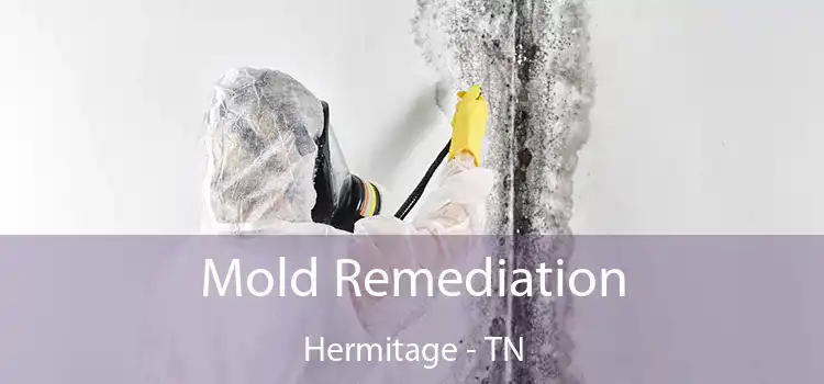 Mold Remediation Hermitage - TN