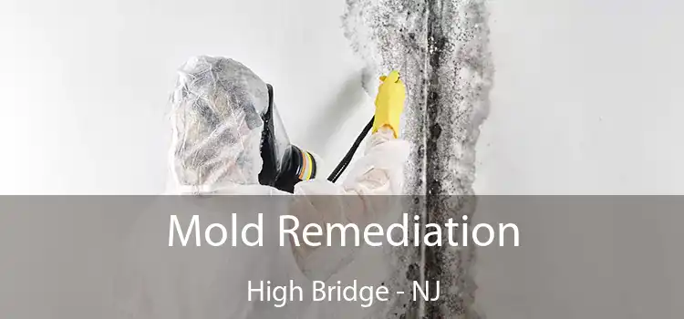 Mold Remediation High Bridge - NJ