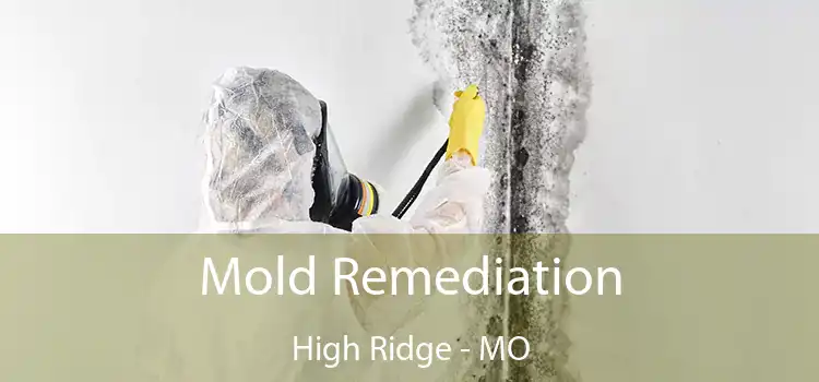 Mold Remediation High Ridge - MO