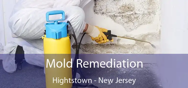 Mold Remediation Hightstown - New Jersey