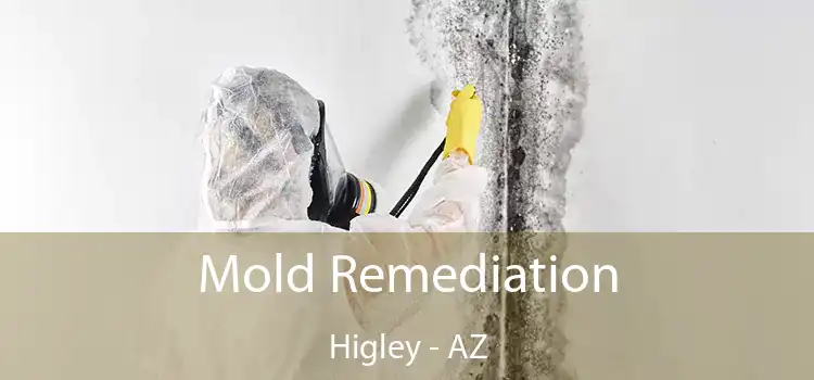 Mold Remediation Higley - AZ