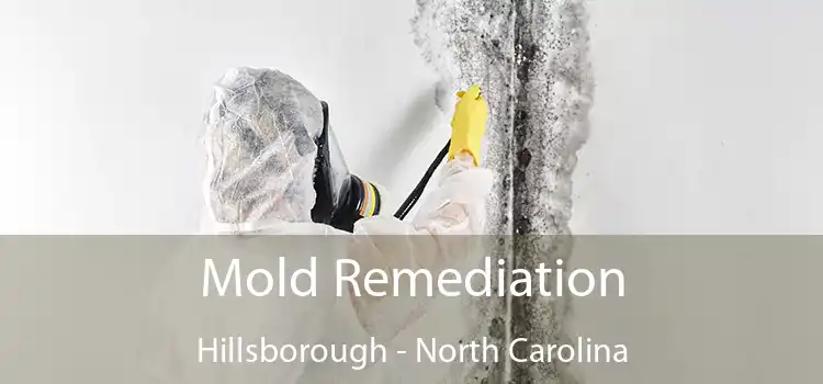 Mold Remediation Hillsborough - North Carolina