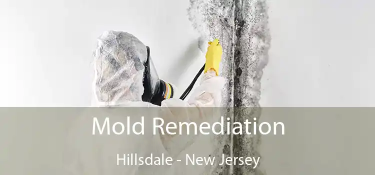 Mold Remediation Hillsdale - New Jersey