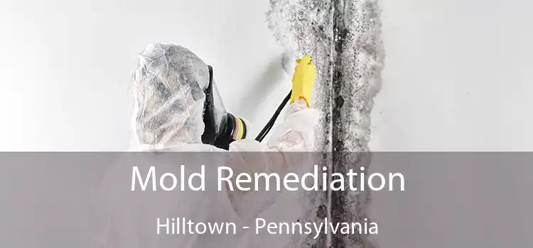 Mold Remediation Hilltown - Pennsylvania