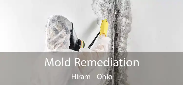 Mold Remediation Hiram - Ohio