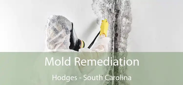 Mold Remediation Hodges - South Carolina