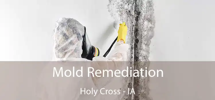 Mold Remediation Holy Cross - IA