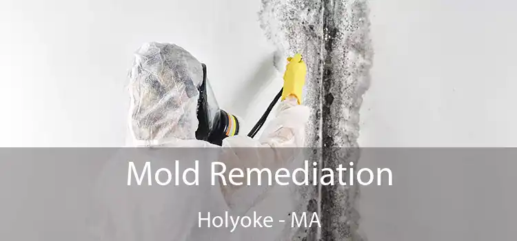 Mold Remediation Holyoke - MA