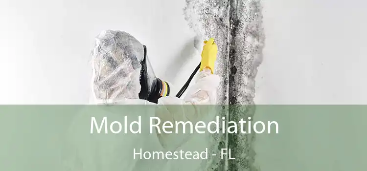 Mold Remediation Homestead - FL