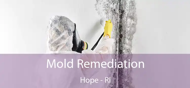 Mold Remediation Hope - RI