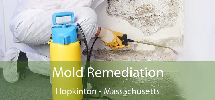 Mold Remediation Hopkinton - Massachusetts