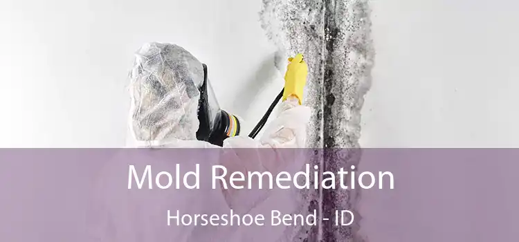 Mold Remediation Horseshoe Bend - ID