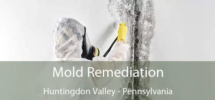 Mold Remediation Huntingdon Valley - Pennsylvania