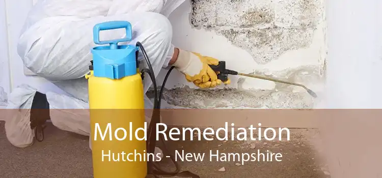 Mold Remediation Hutchins - New Hampshire